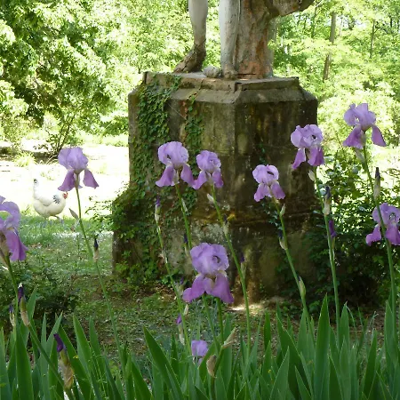 Chateau Chavagnac * 里昂