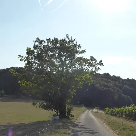 Chateau Chavagnac * ליון