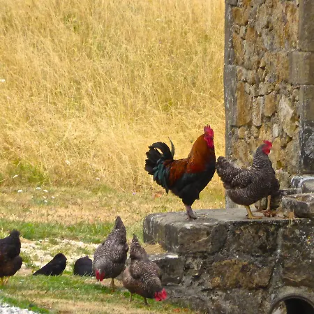 Bed & Breakfast Chateau Chavagnac *